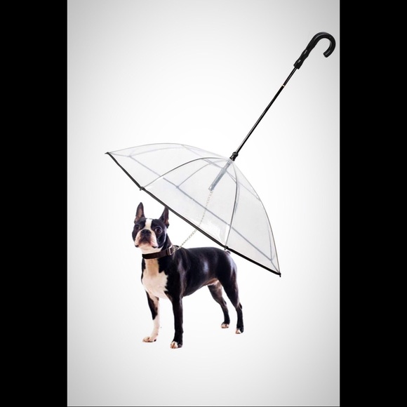 ☔️ Pet Umbrella With Leash BNWT For Rain & Snow ☔️ - Picture 1 of 5